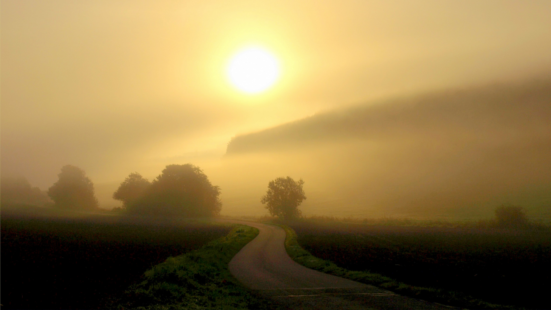 Sonnenaufgang im Nebel