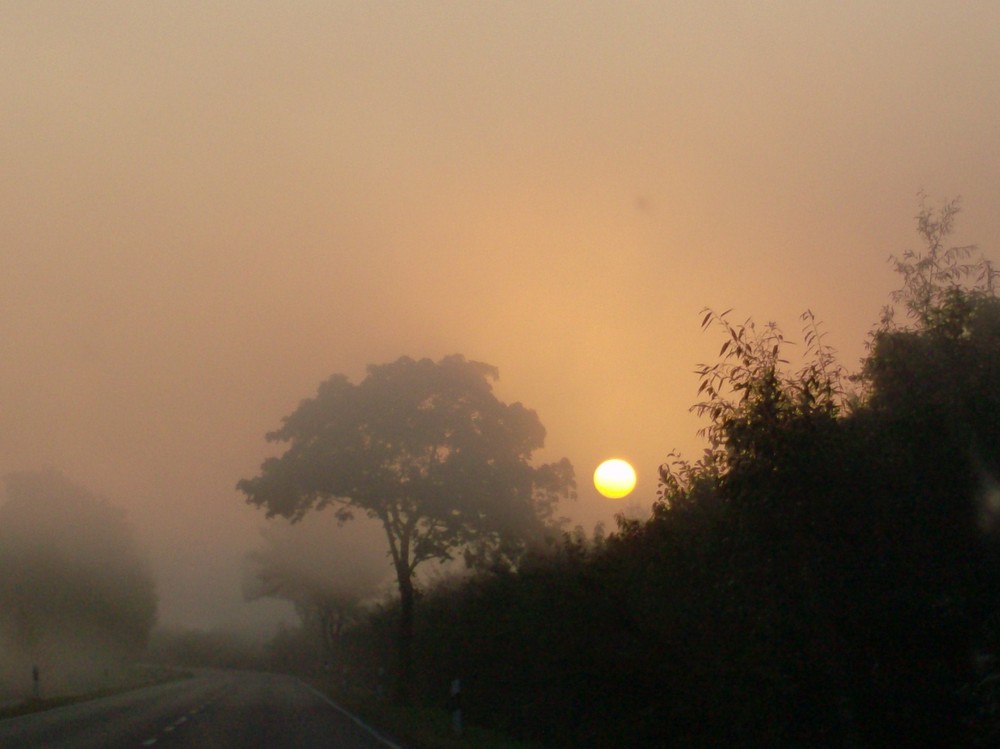 Sonnenaufgang im Nebel