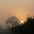 Sonnenaufgang im Nebel