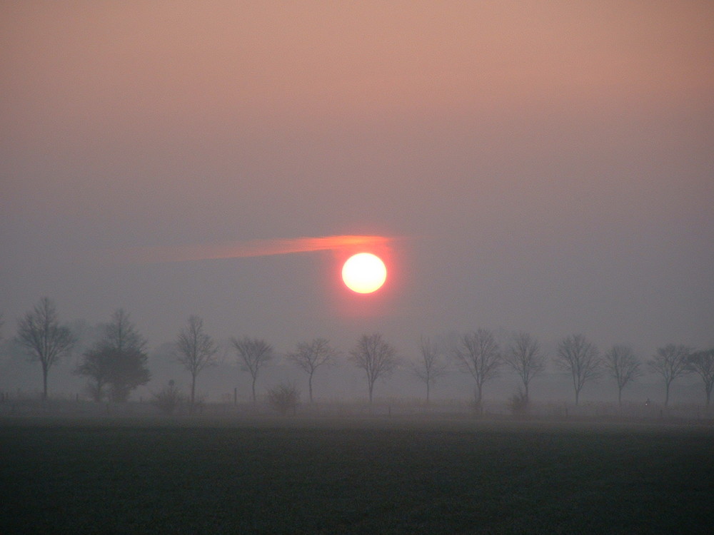 Sonnenaufgang im Nebel