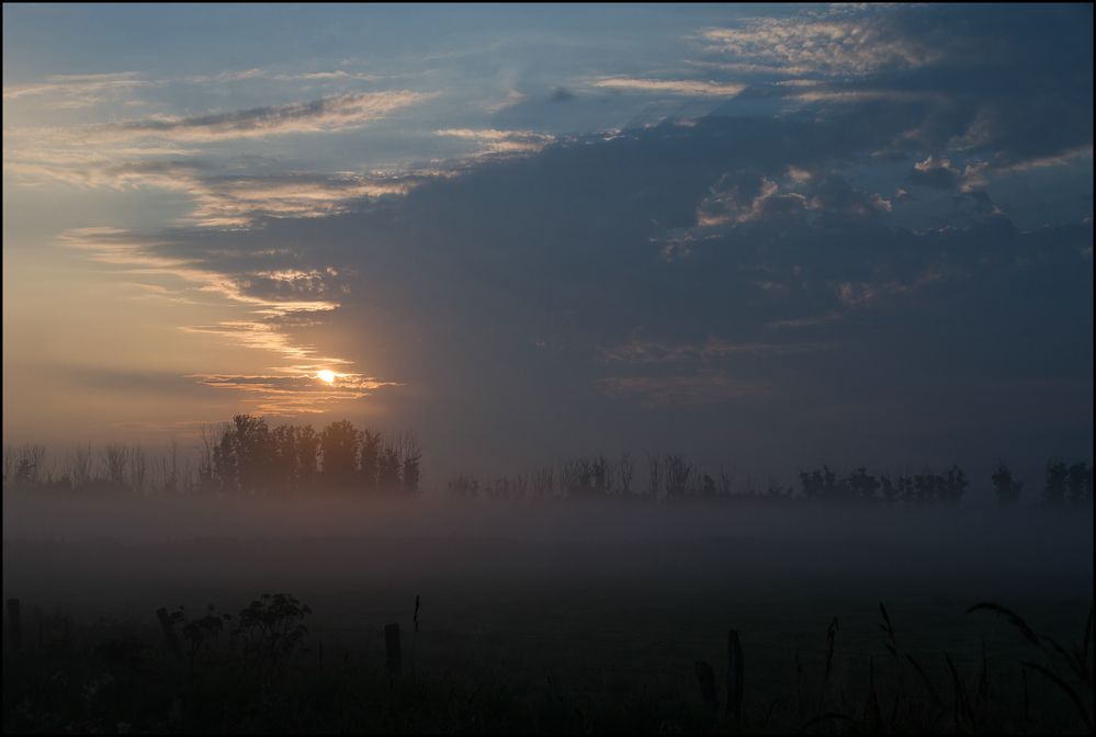 Sonnenaufgang im Nebel der Meerbruchswiesen