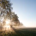 Sonnenaufgang im Nebel