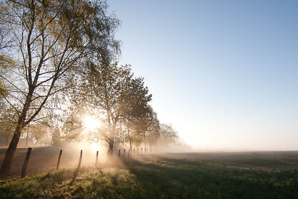 Sonnenaufgang im Nebel