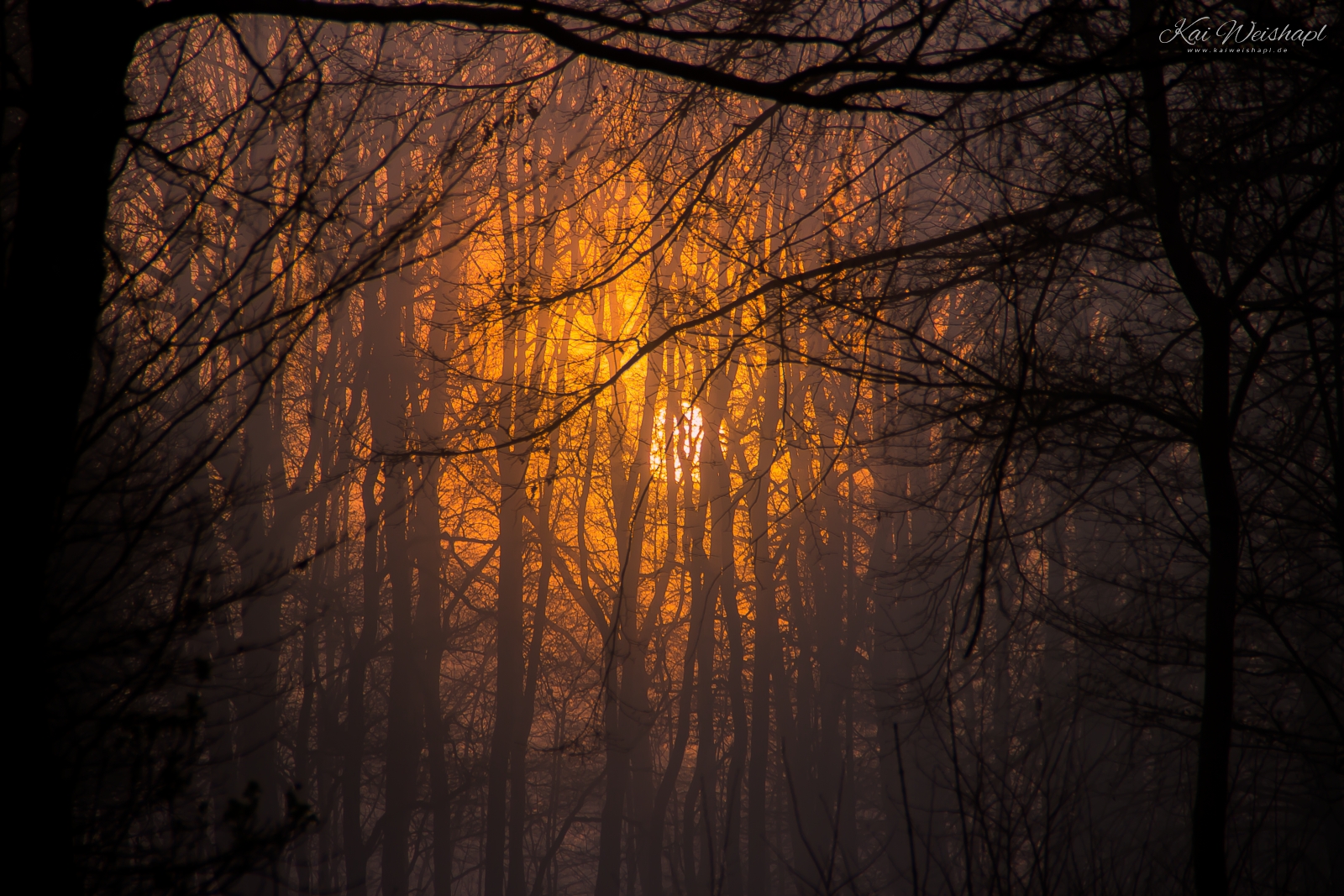 Sonnenaufgang im Nebel