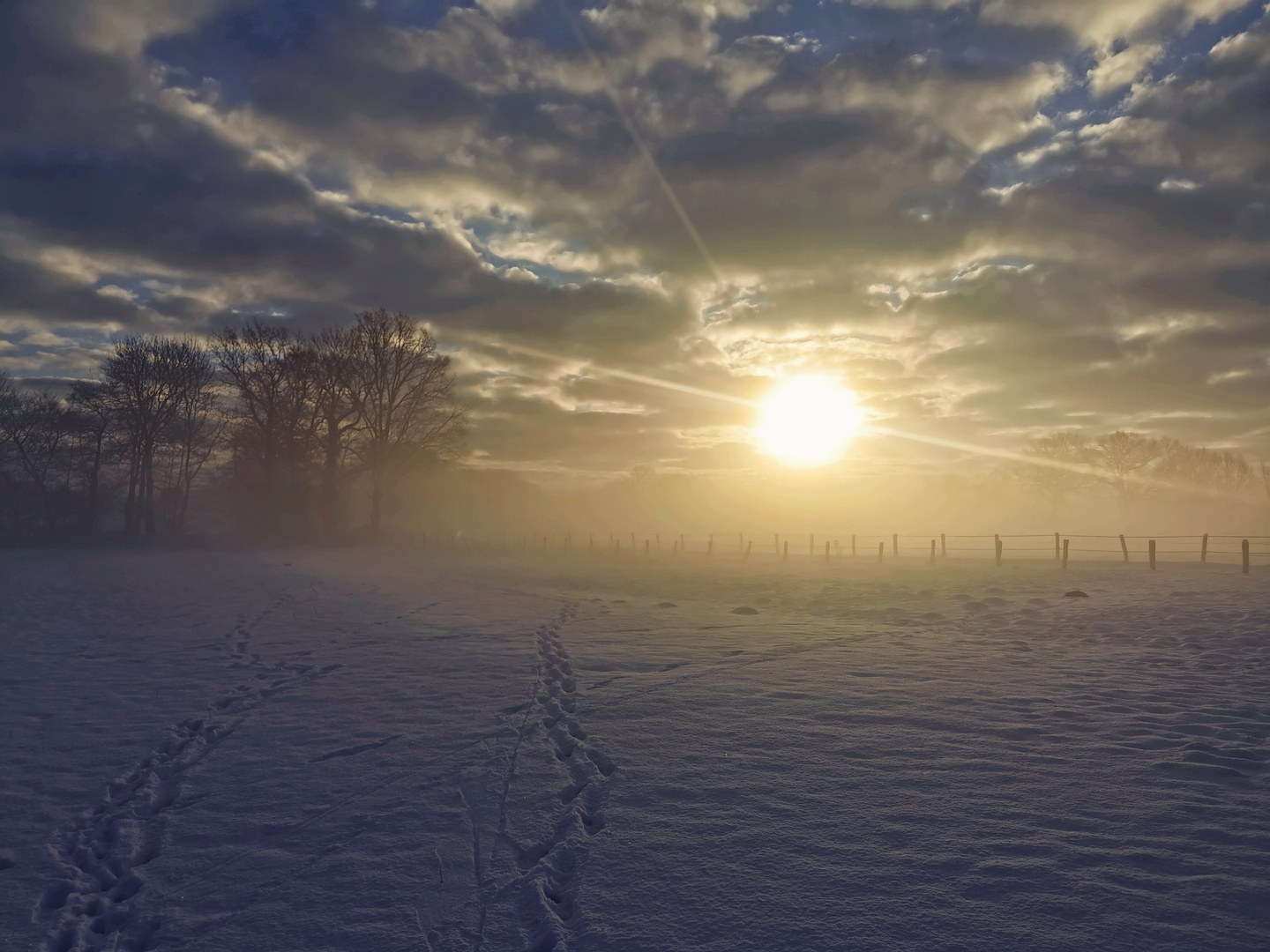 Sonnenaufgang im Nebel