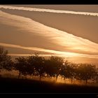 Sonnenaufgang im Nebel