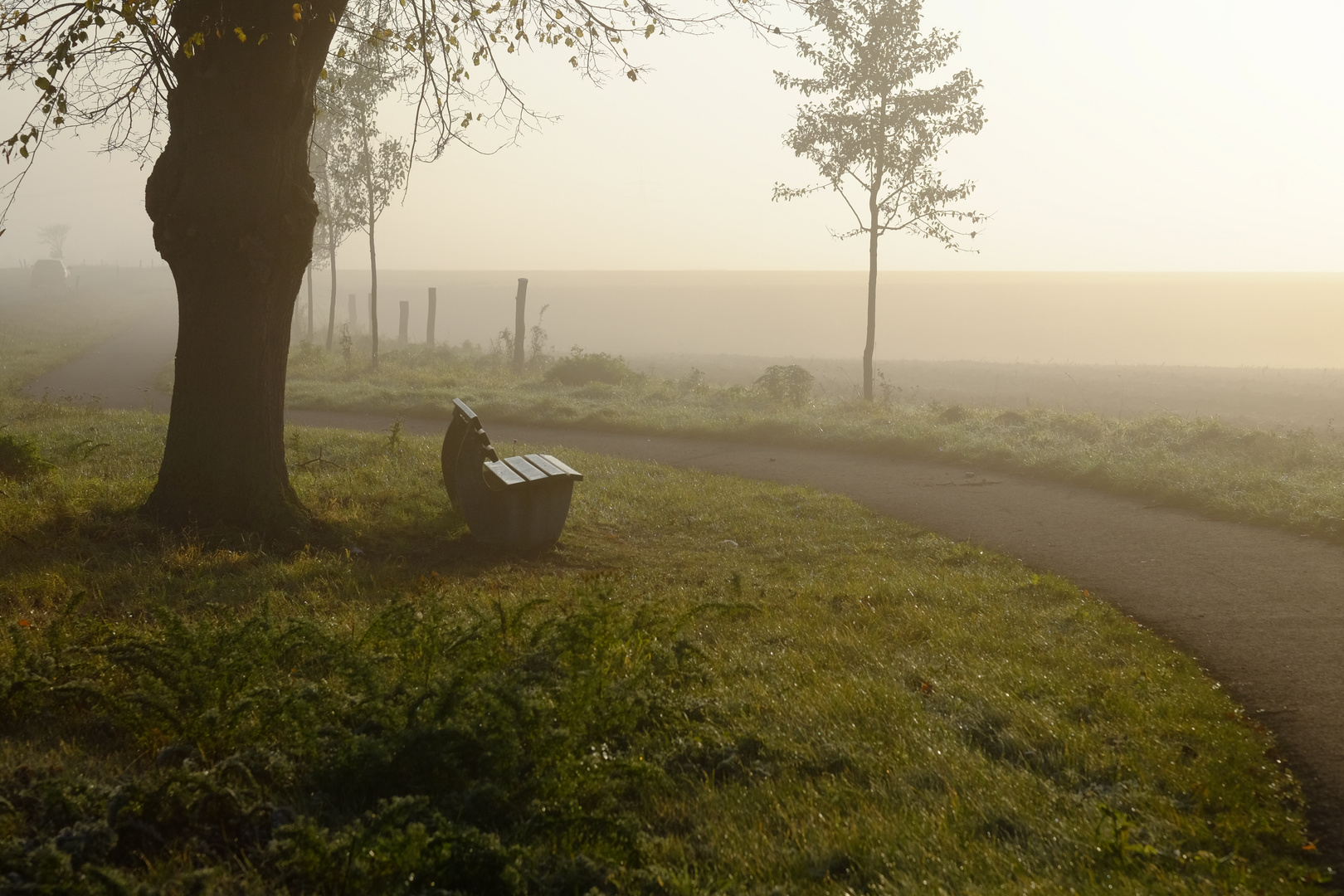 Sonnenaufgang im Nebel