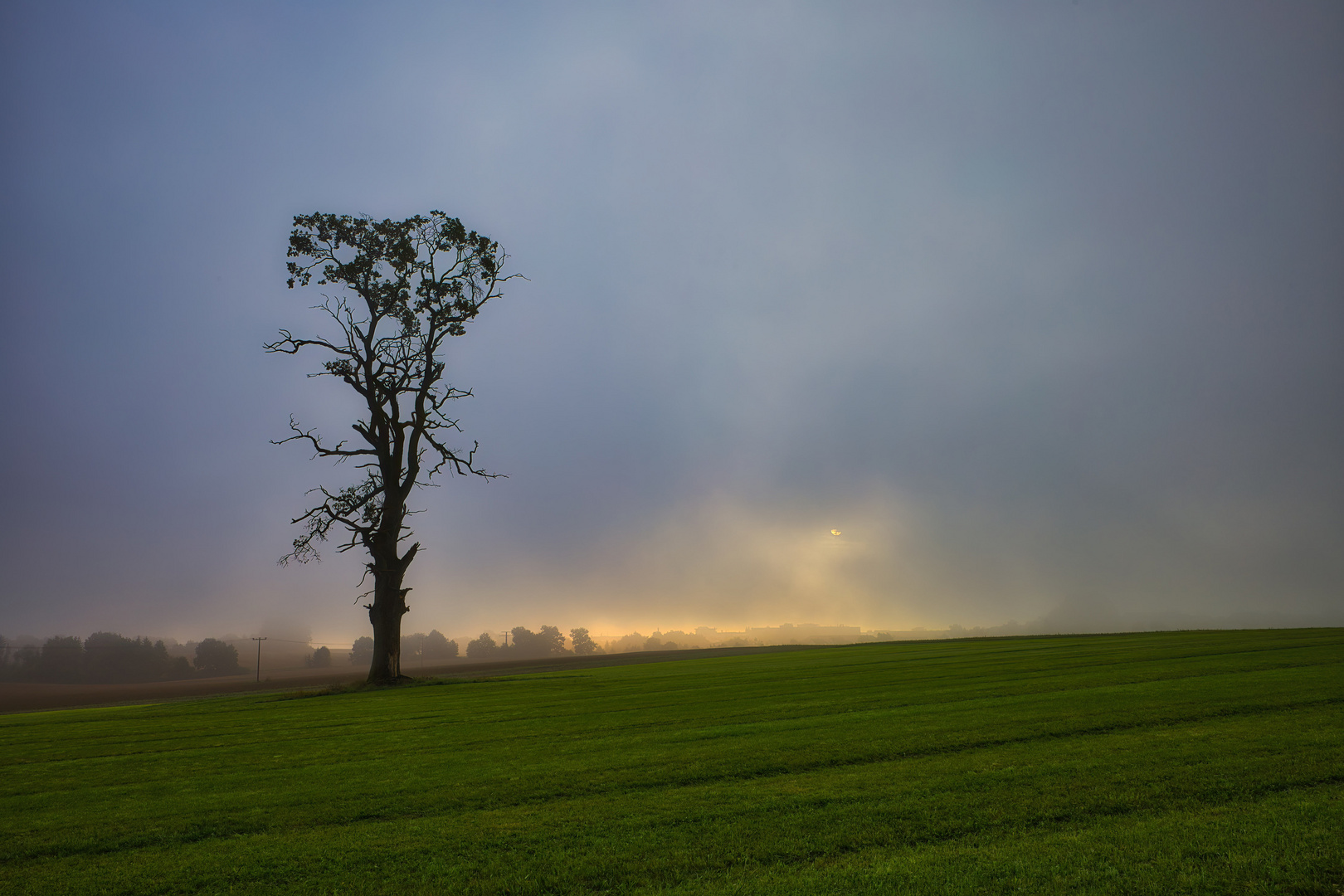 Sonnenaufgang im Nebel