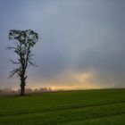 Sonnenaufgang im Nebel