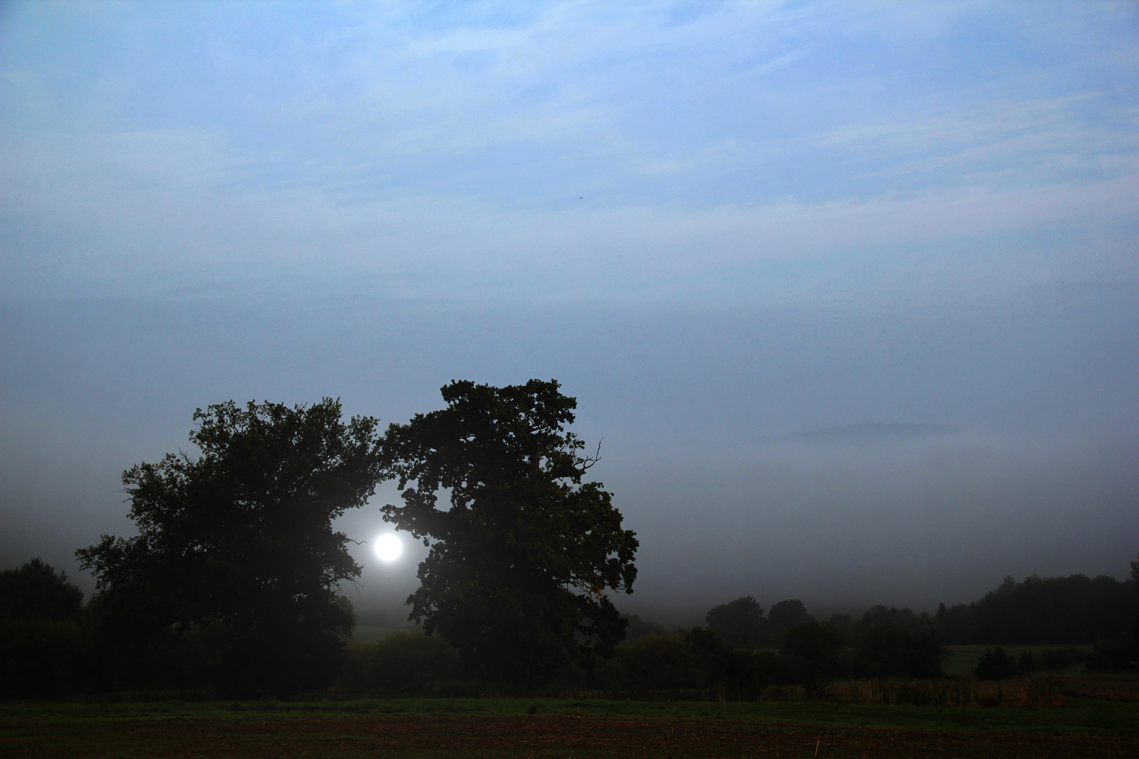 Sonnenaufgang im Nebel