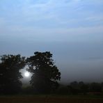 Sonnenaufgang im Nebel