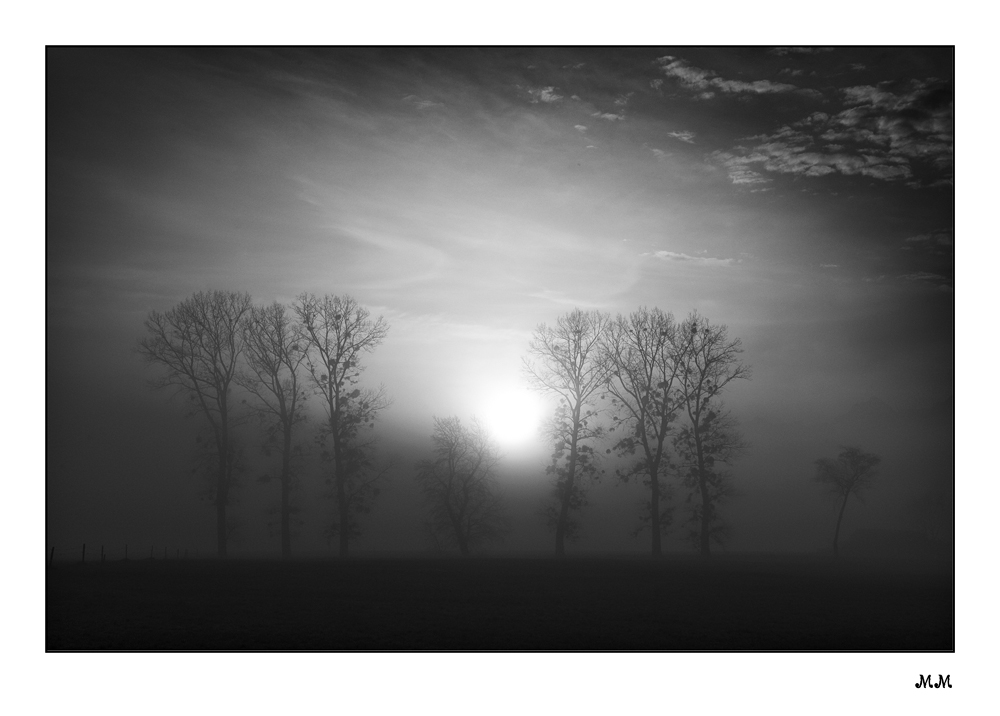 Sonnenaufgang im Nebel