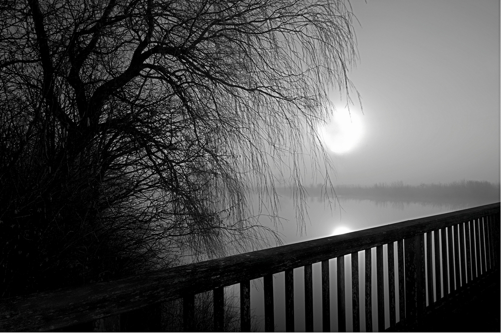 Sonnenaufgang im Nebel