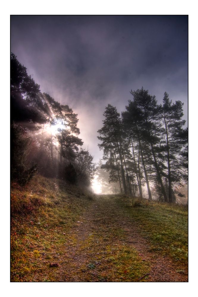 sonnenaufgang im nebel