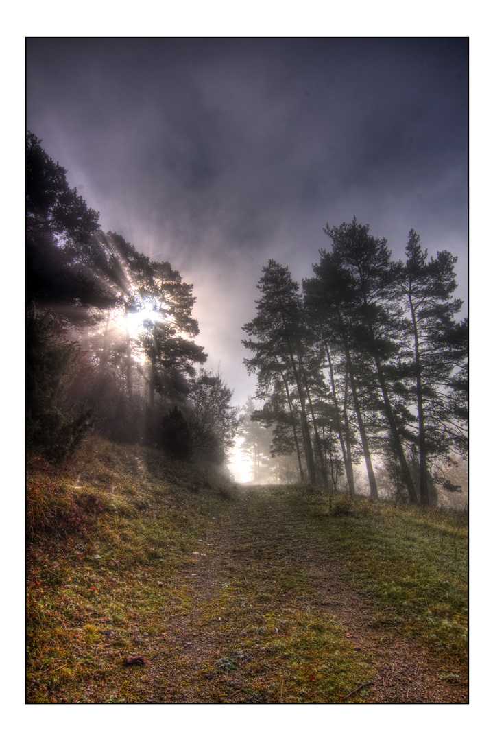 sonnenaufgang im nebel