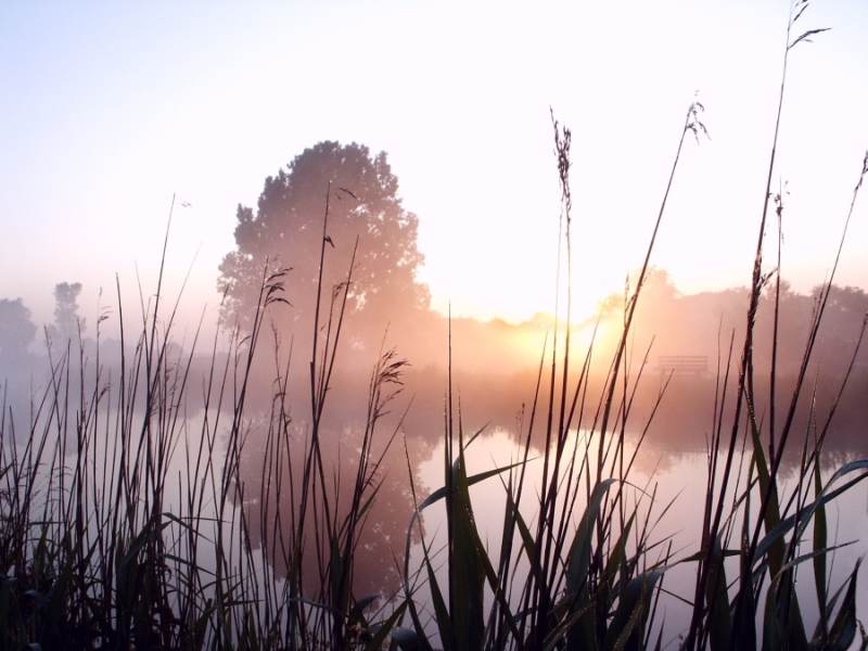 Sonnenaufgang im Nebel