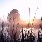 Sonnenaufgang im Nebel