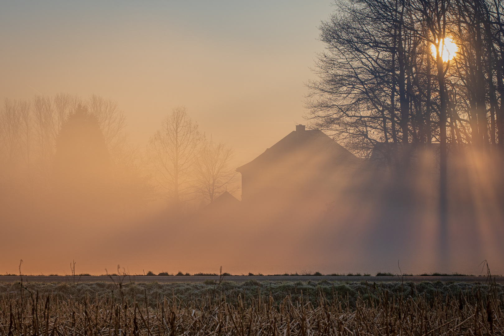 Sonnenaufgang im Nebel