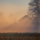 Sonnenaufgang im Nebel