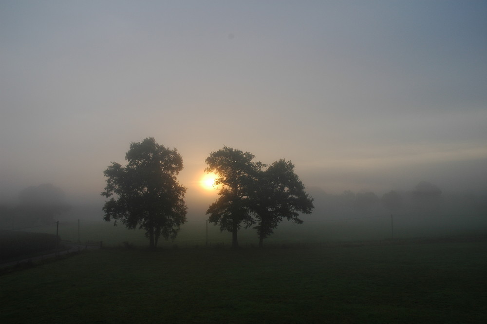 Sonnenaufgang im Nebel II