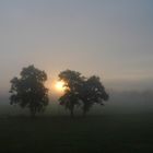 Sonnenaufgang im Nebel II