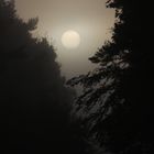 Sonnenaufgang im Nebel II