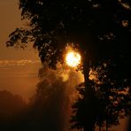 Sonnenaufgang im Nebel - Platz für Träume