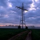 Sonnenaufgang im Nebel Wiesengrund Vach bei fürth