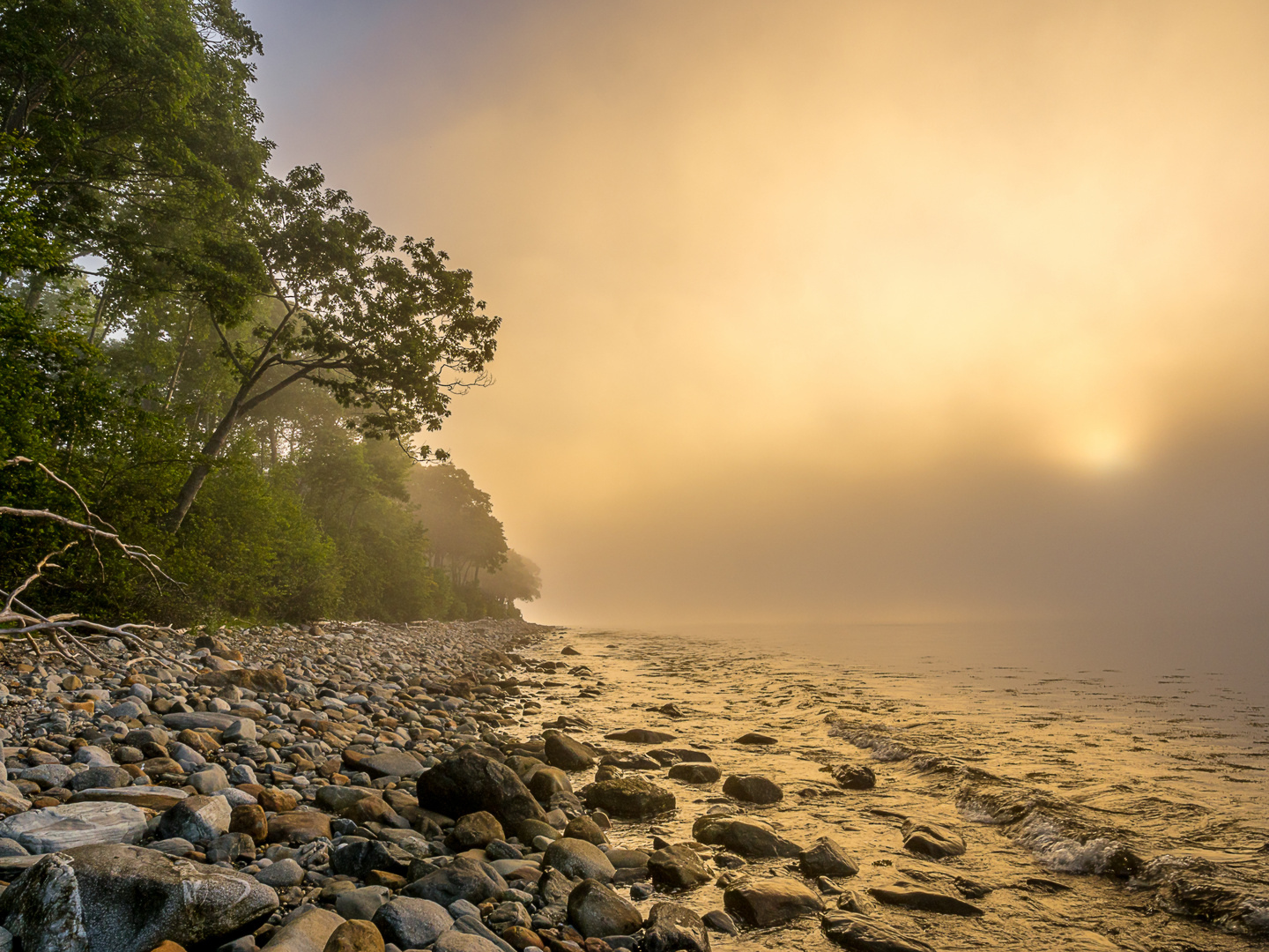 Sonnenaufgang im Nebel1