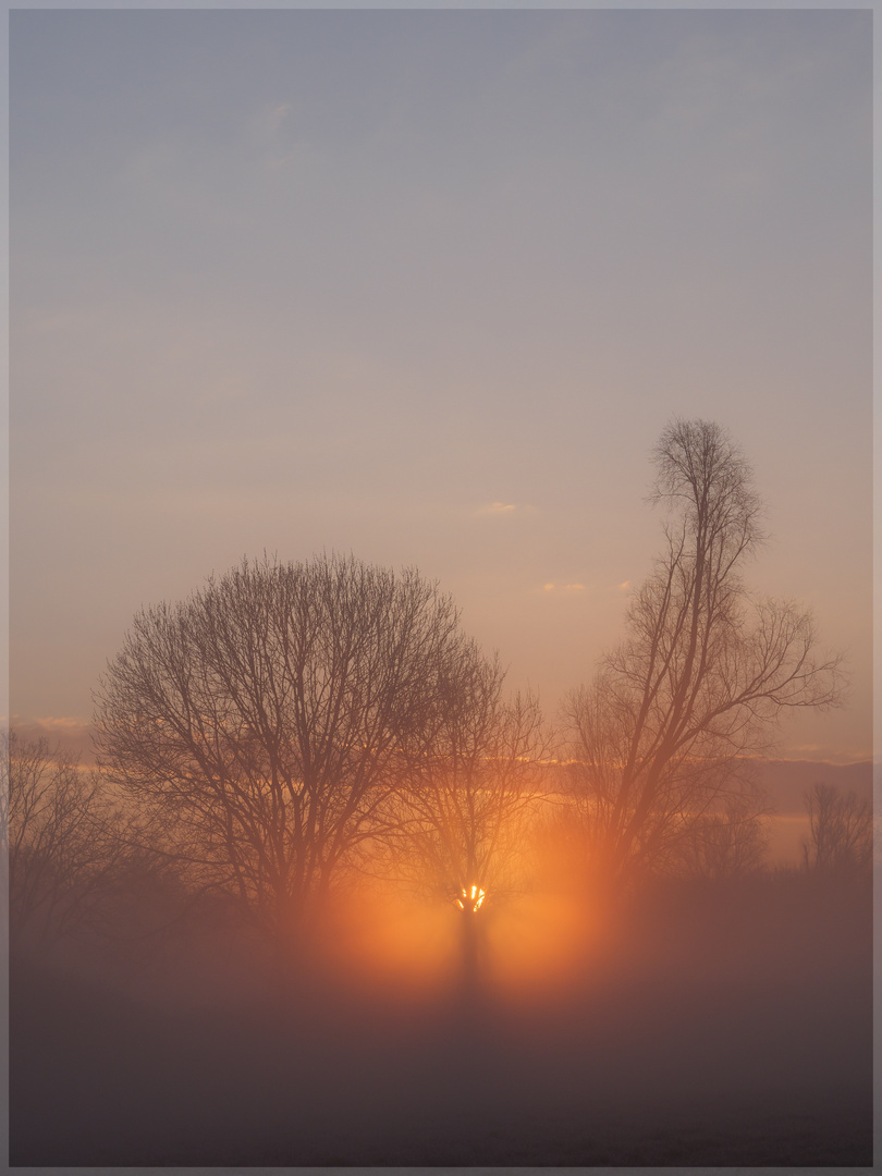 Sonnenaufgang im Nebel_1004716