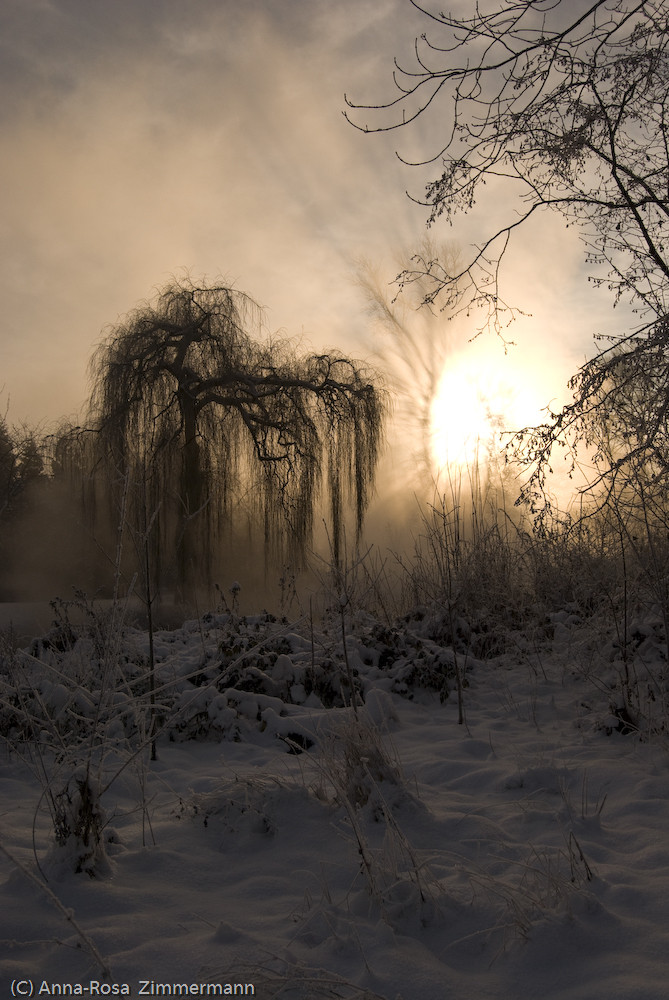 Sonnenaufgang im Nebel_2