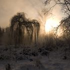 Sonnenaufgang im Nebel_2