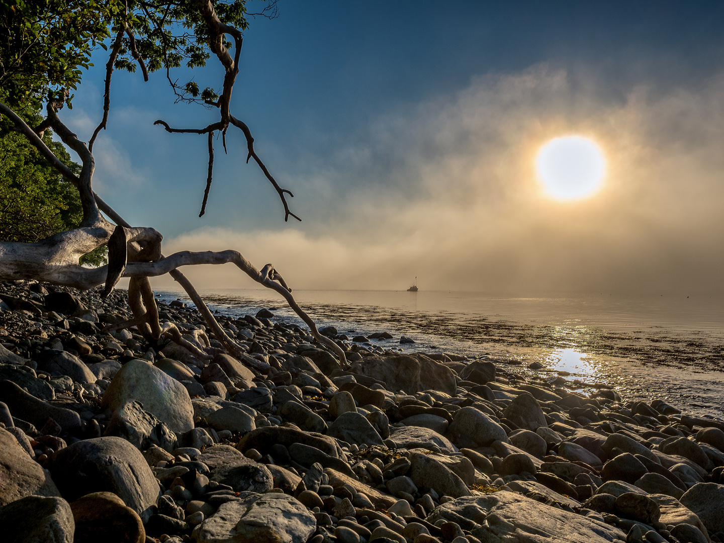 Sonnenaufgang im Nebel2