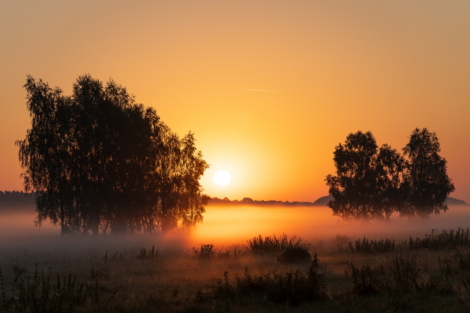 Sonnenaufgang im Nebelfeld