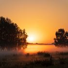 Sonnenaufgang im Nebelfeld