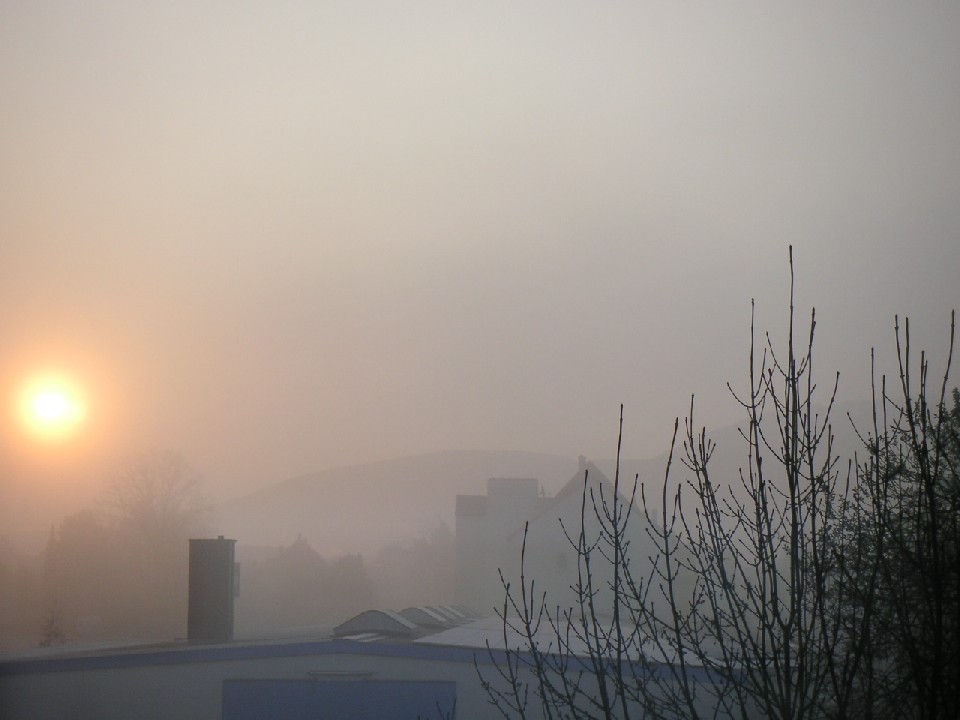 Sonnenaufgang im Nebelkleid