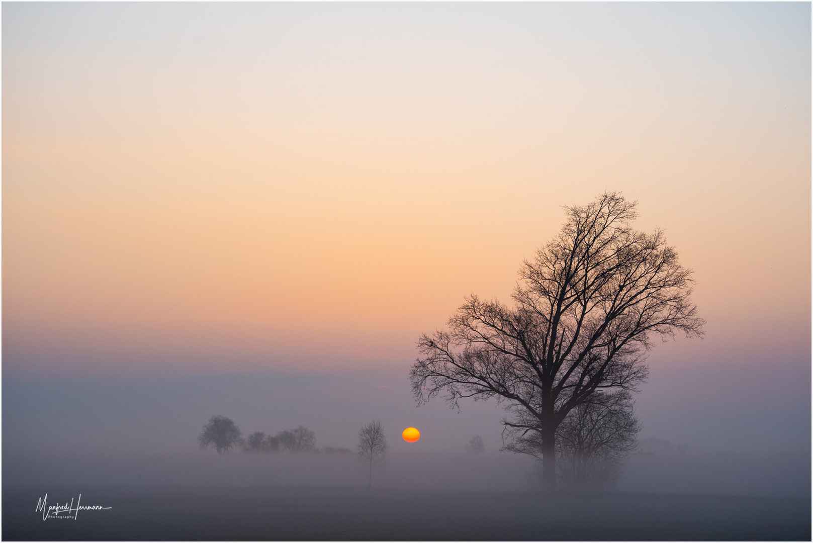 Sonnenaufgang im Nebelried
