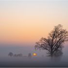 Sonnenaufgang im Nebelried