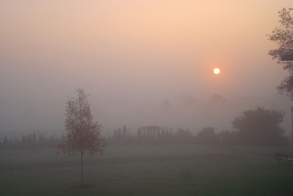 Sonnenaufgang im Nebelschein