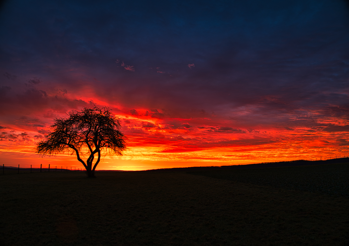 Sonnenaufgang im neuen Jahr