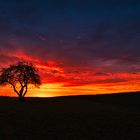 Sonnenaufgang im neuen Jahr