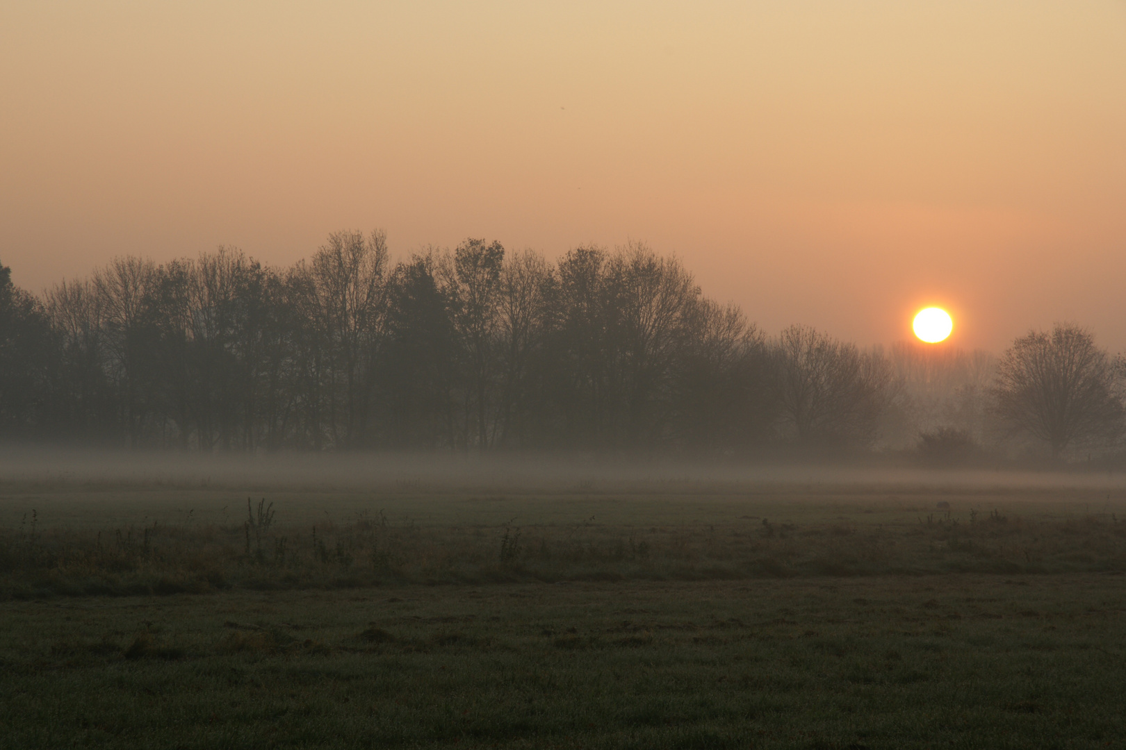 Sonnenaufgang im November