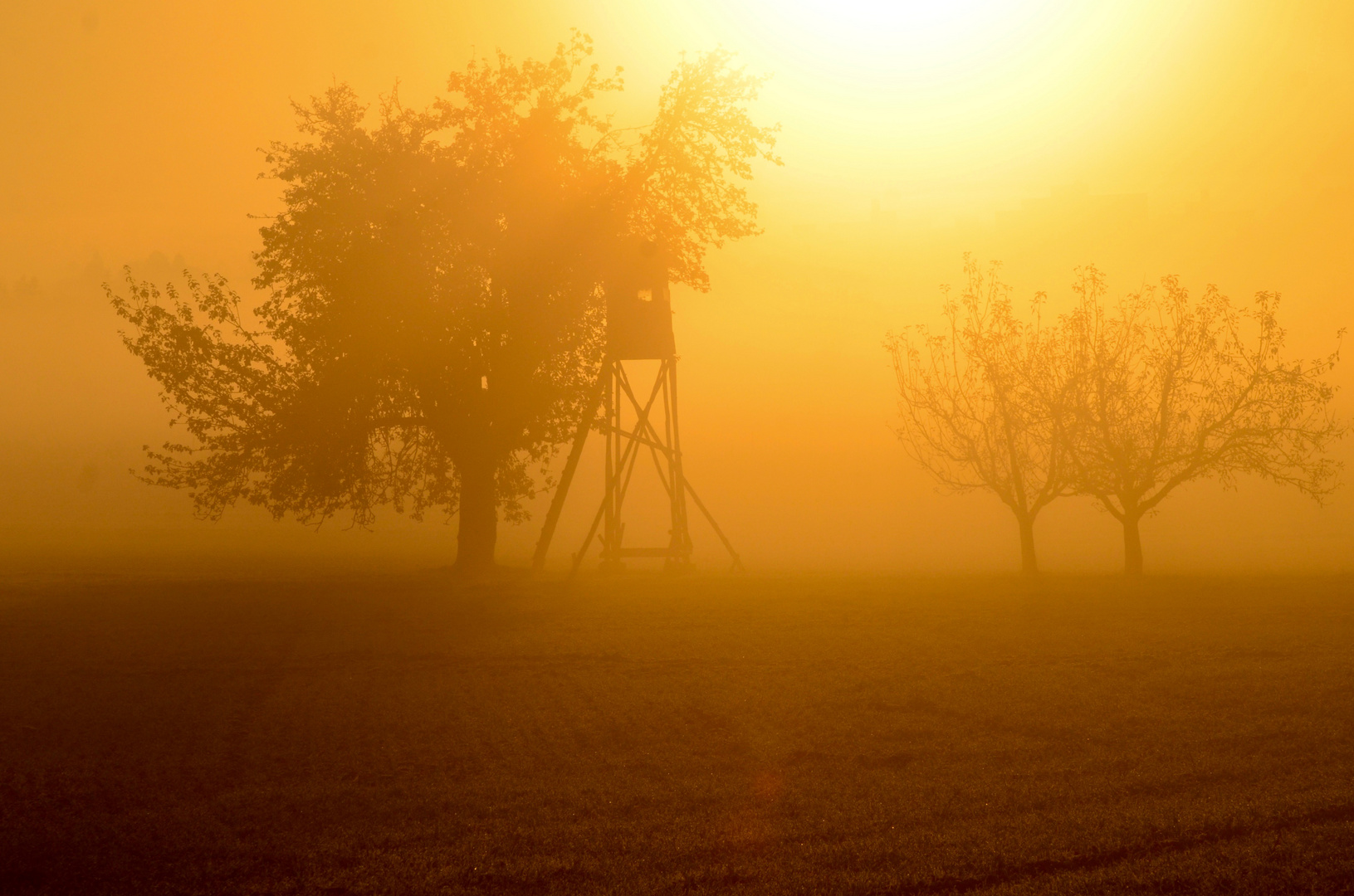 Sonnenaufgang im November 2015