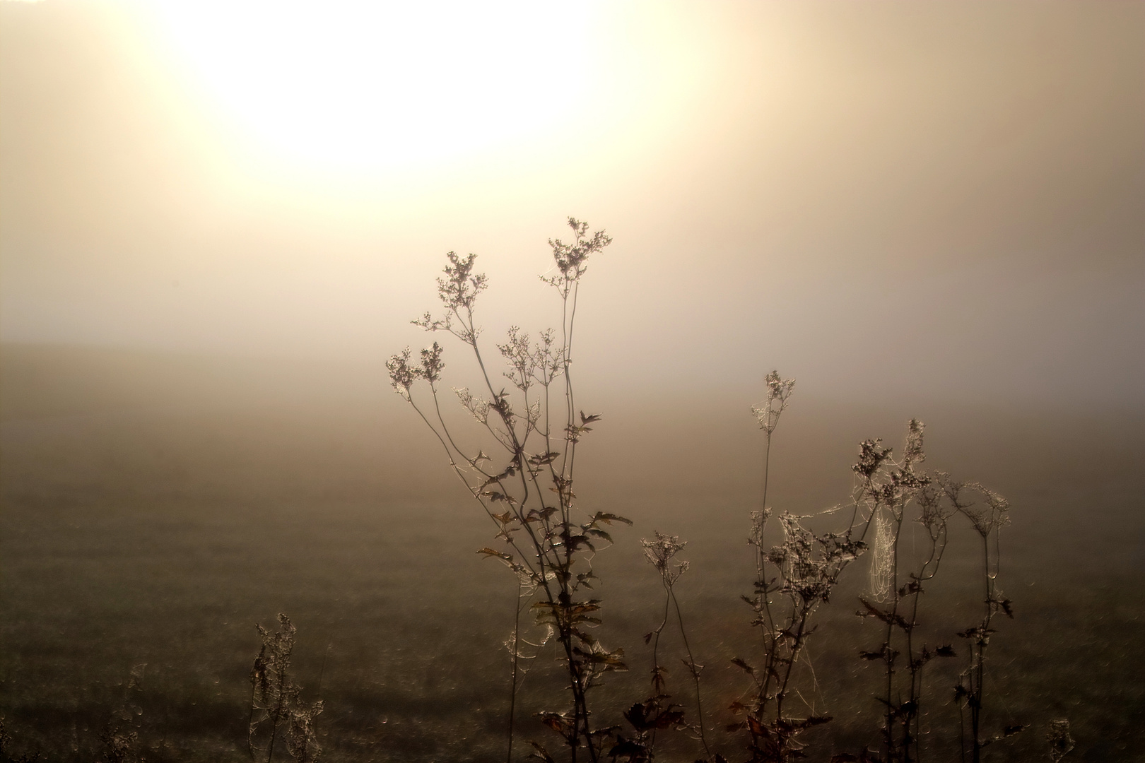 Sonnenaufgang im November