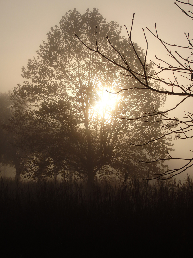 Sonnenaufgang im November