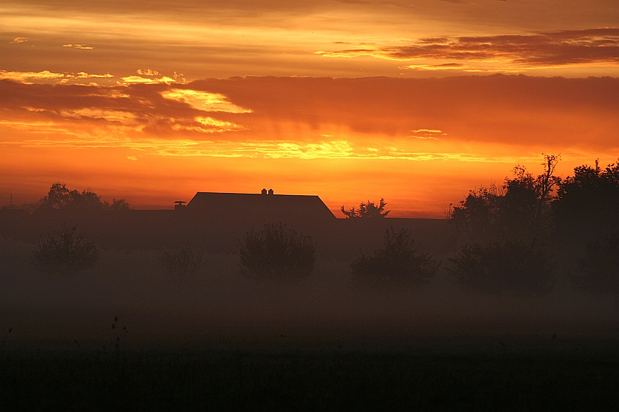 Sonnenaufgang im November in Hambrücken