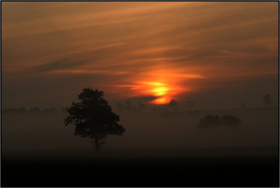 Sonnenaufgang im Novembernebel