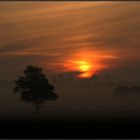 Sonnenaufgang im Novembernebel