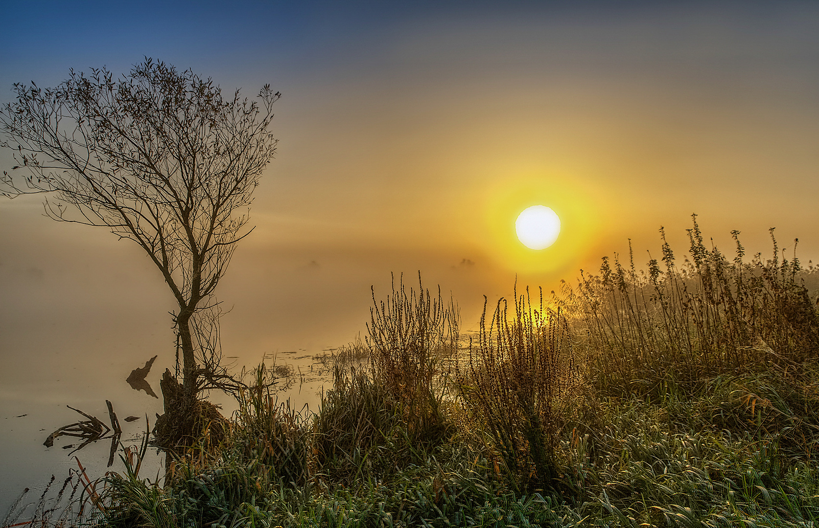 - Sonnenaufgang im NSG Mittelelbe -