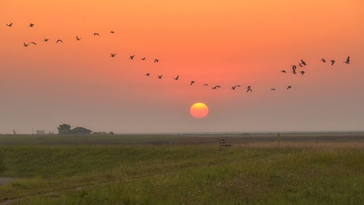 Sonnenaufgang im NSG Oehe